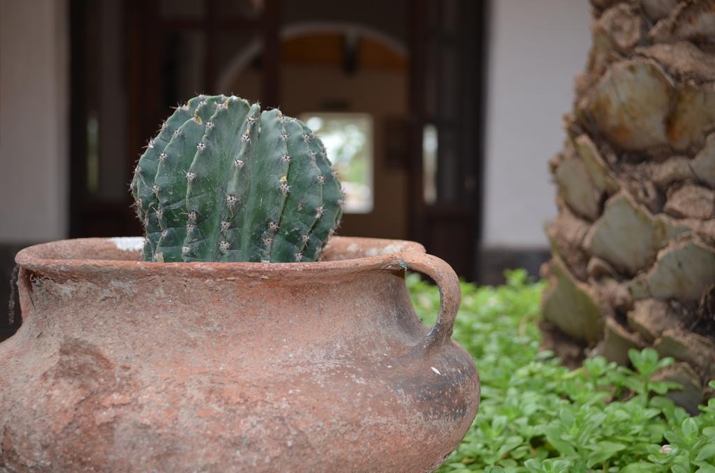 Finca El Carmen Pension Angastaco Buitenkant foto