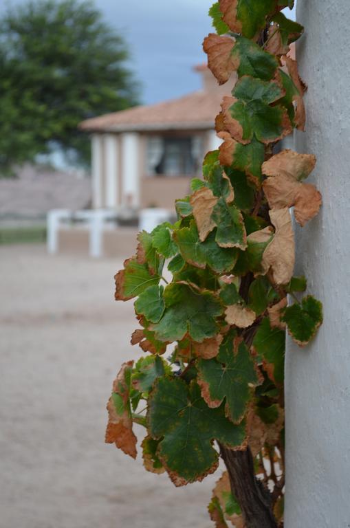Finca El Carmen Angastaco Buitenkant foto